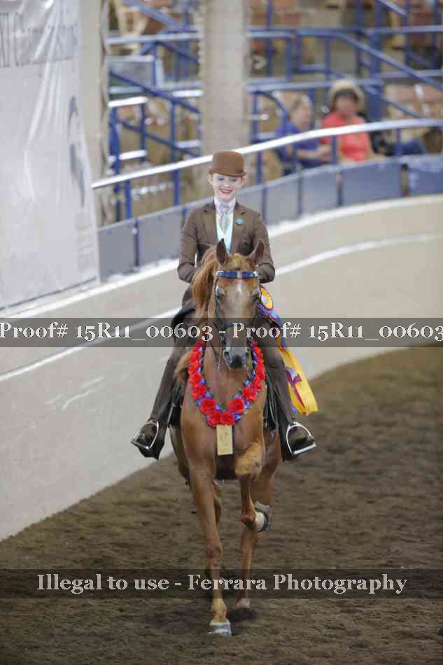 Proof Number 15R11_00603
