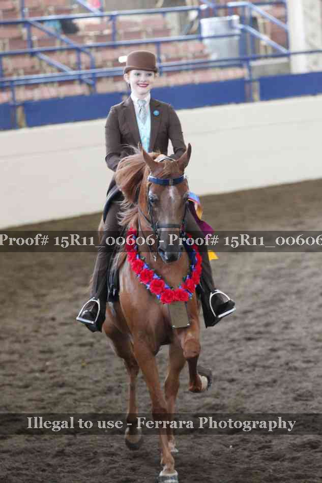Proof Number 15R11_00606