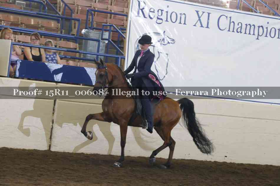 Proof Number 15R11_00608