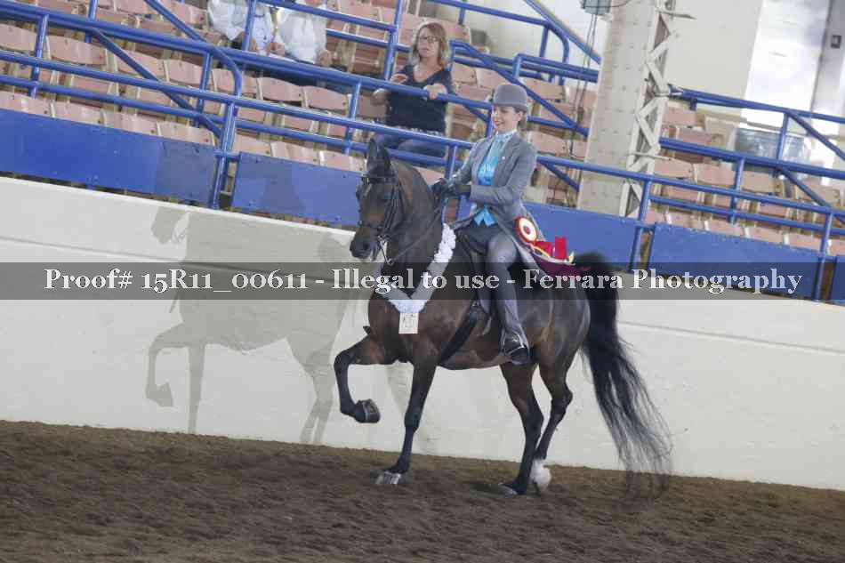 Proof Number 15R11_00611