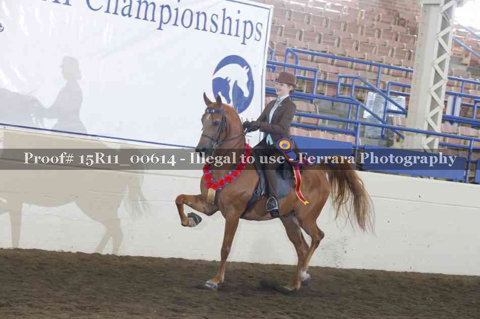 Proof Number 15R11_00614