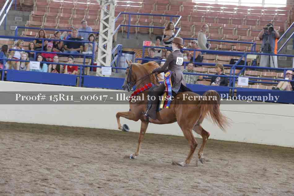 Proof Number 15R11_00617