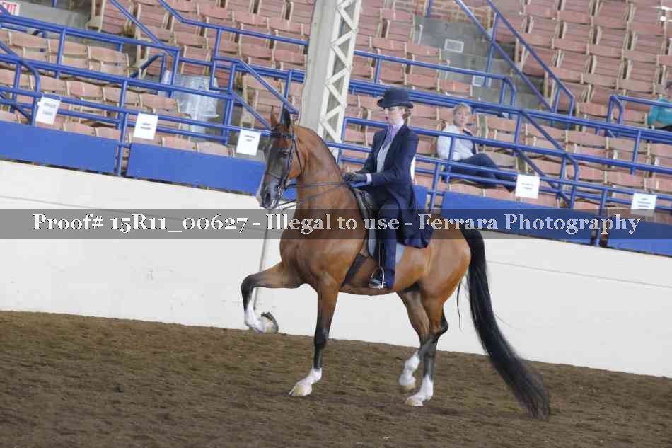 Proof Number 15R11_00627