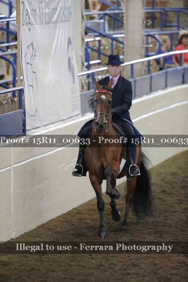 Proof Number 15R11_00633