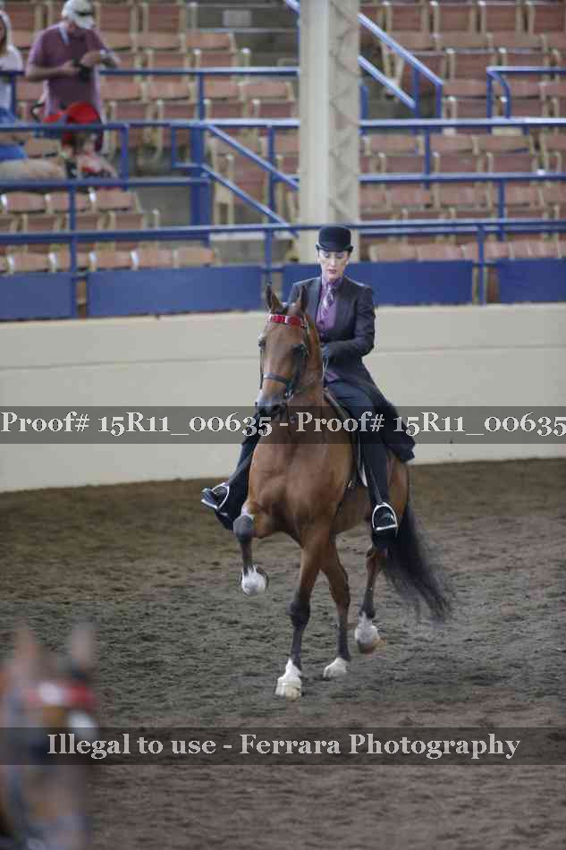 Proof Number 15R11_00635