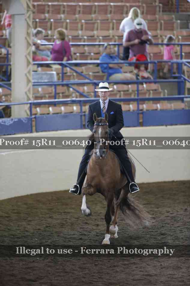 Proof Number 15R11_00640
