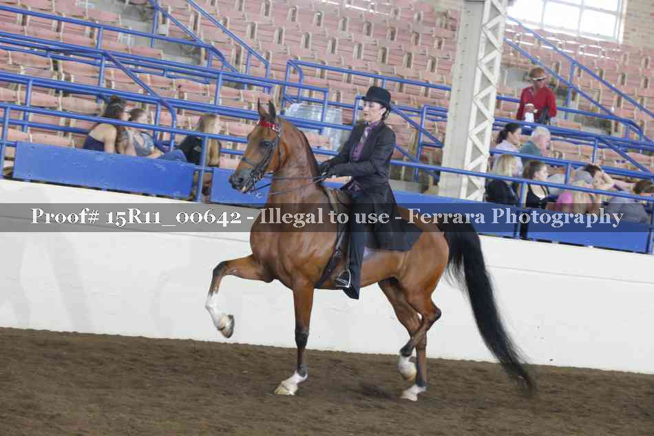 Proof Number 15R11_00642