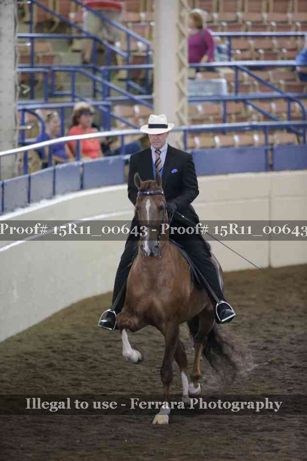Proof Number 15R11_00643