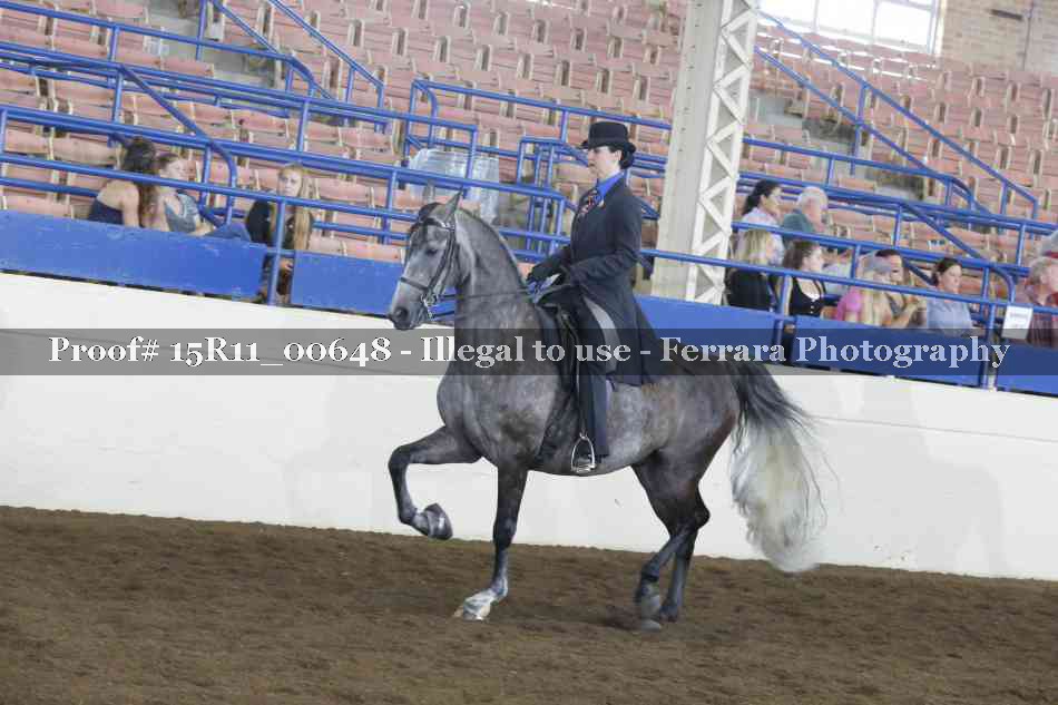 Proof Number 15R11_00648