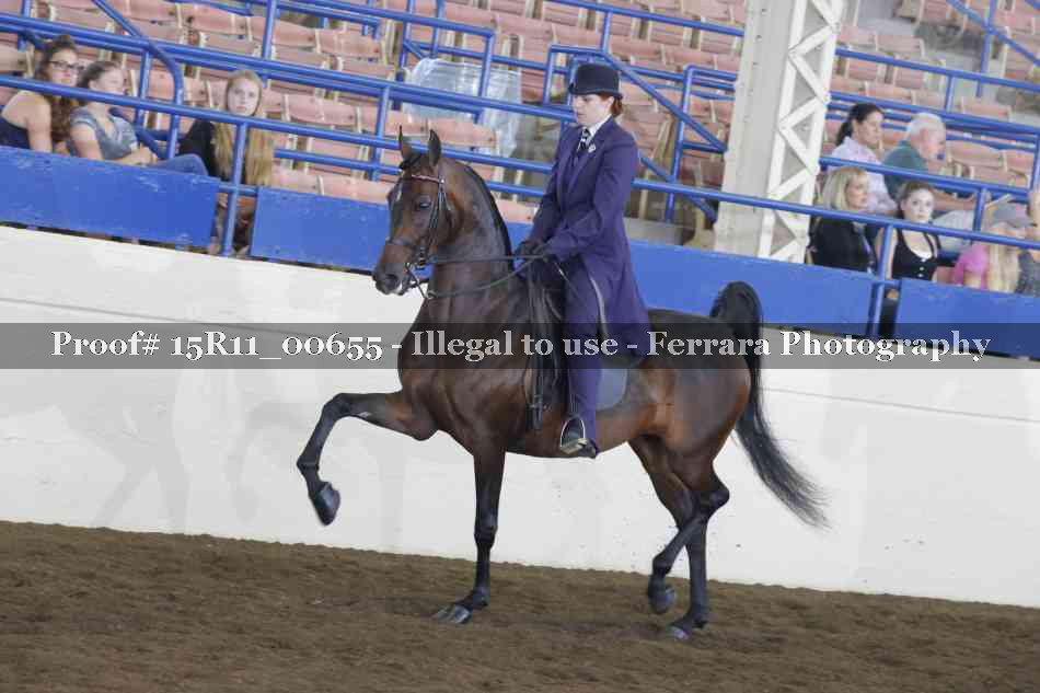 Proof Number 15R11_00655