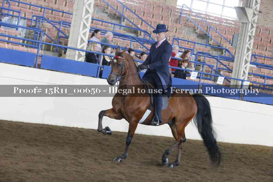 Proof Number 15R11_00656