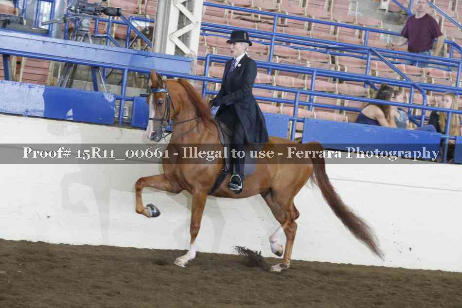 Proof Number 15R11_00661