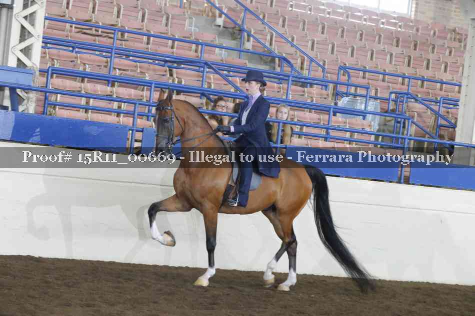 Proof Number 15R11_00669
