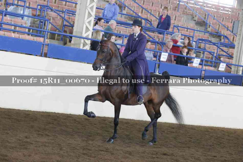 Proof Number 15R11_00670