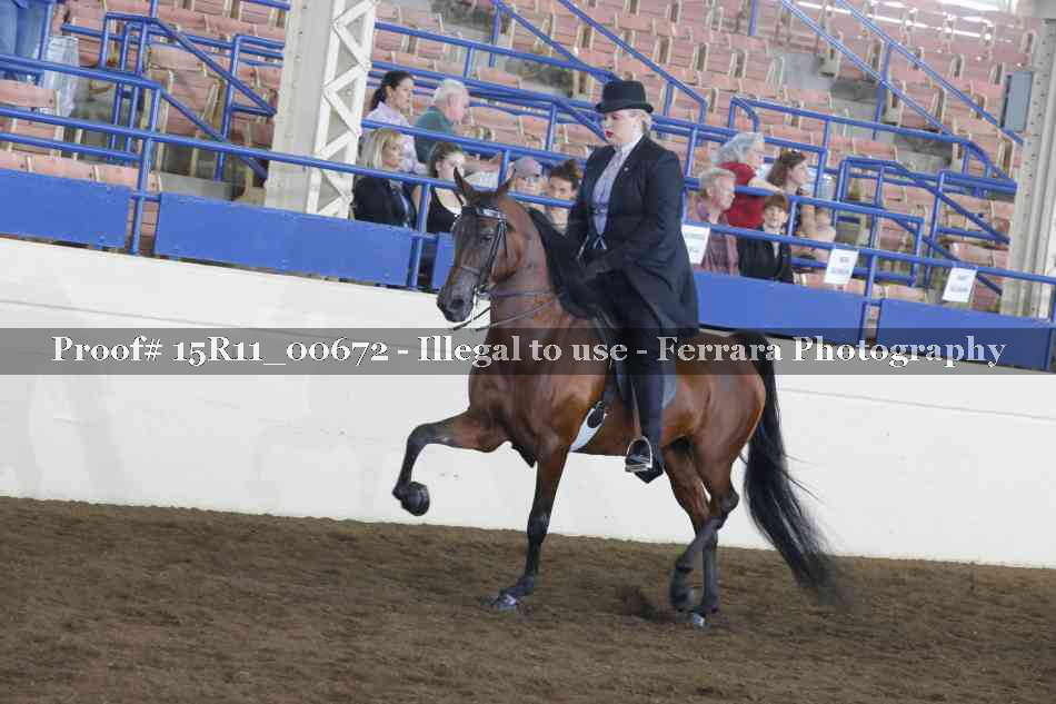 Proof Number 15R11_00672