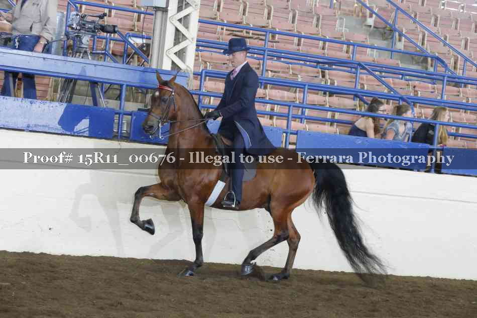 Proof Number 15R11_00676