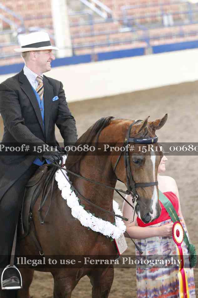 Proof Number 15R11_00680