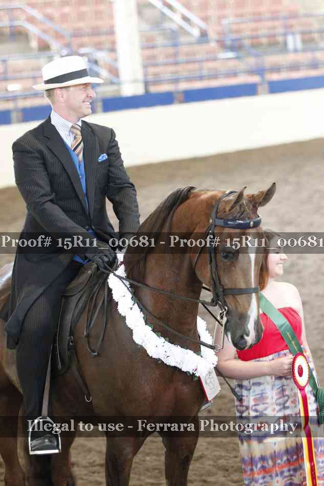 Proof Number 15R11_00681