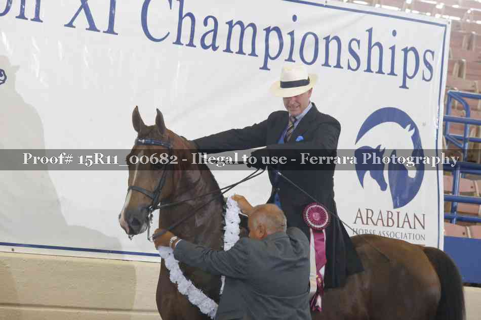 Proof Number 15R11_00682