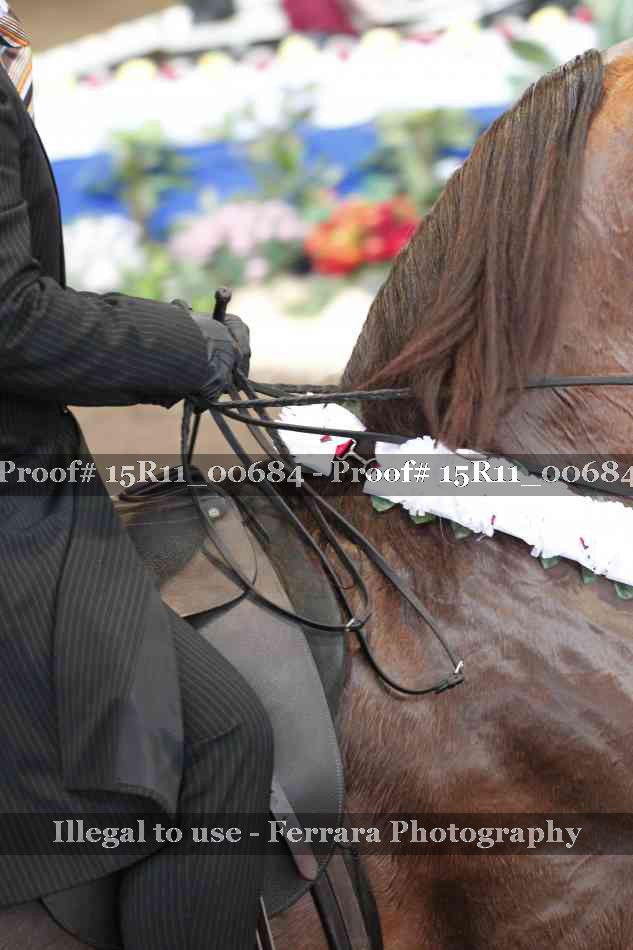 Proof Number 15R11_00684