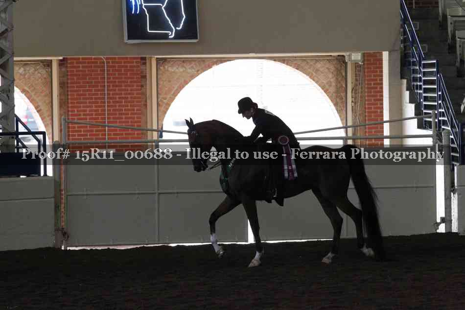 Proof Number 15R11_00688