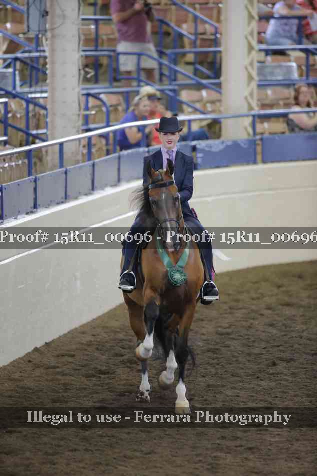 Proof Number 15R11_00696