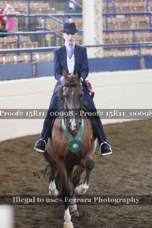 Proof Number 15R11_00698