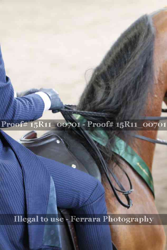 Proof Number 15R11_00701