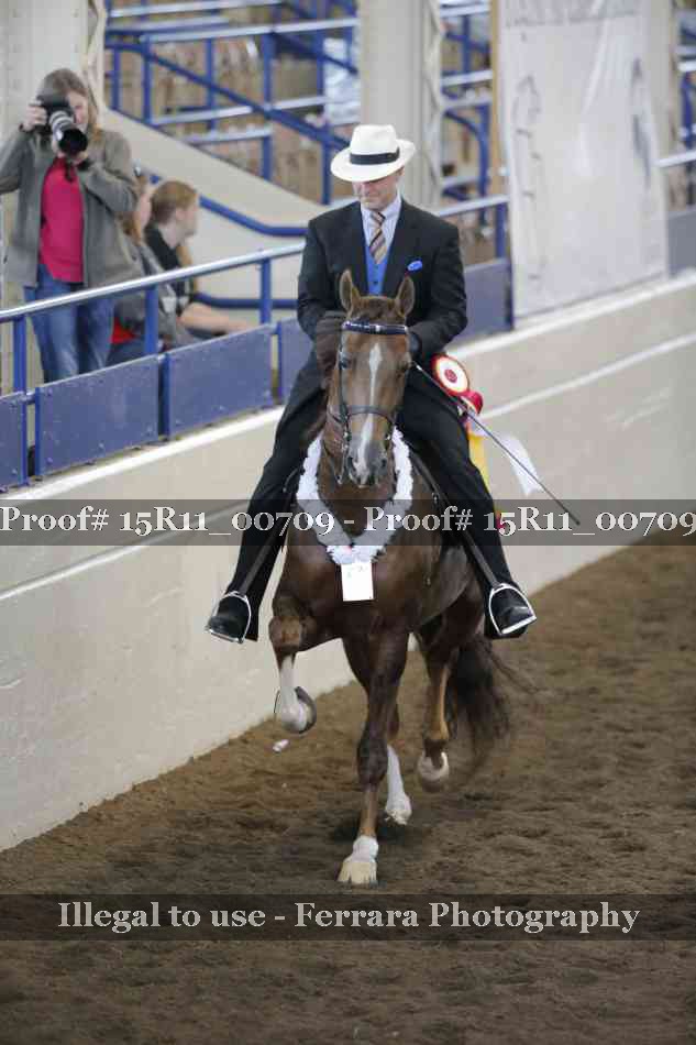 Proof Number 15R11_00709