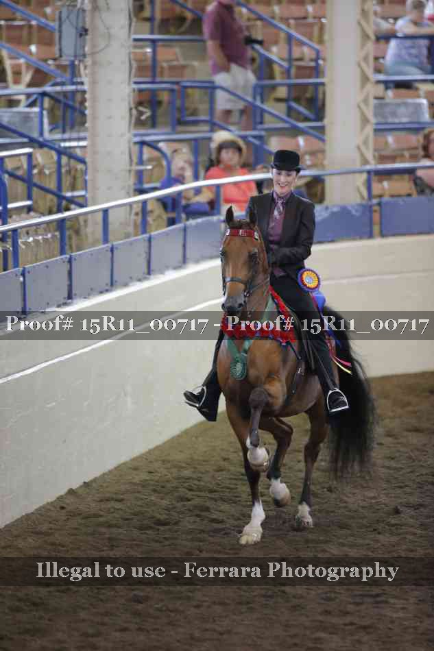 Proof Number 15R11_00717