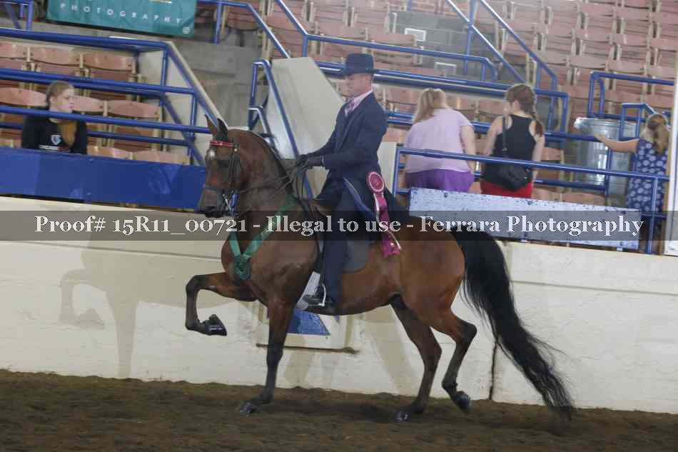 Proof Number 15R11_00721