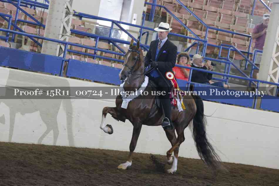 Proof Number 15R11_00724