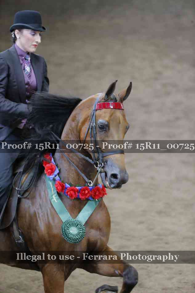 Proof Number 15R11_00725