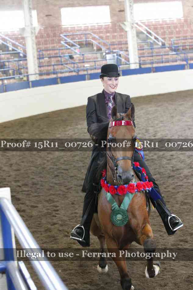 Proof Number 15R11_00726