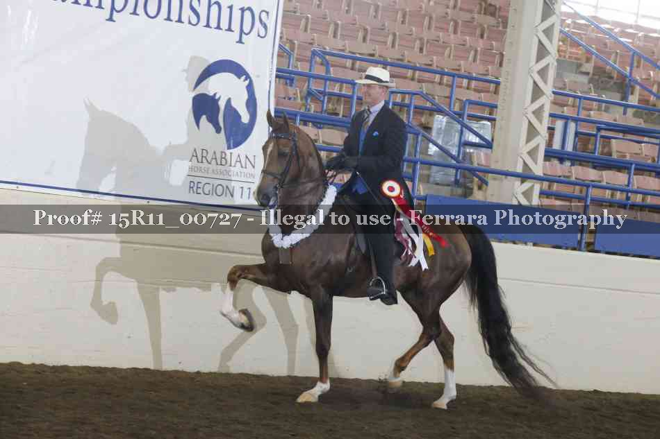 Proof Number 15R11_00727