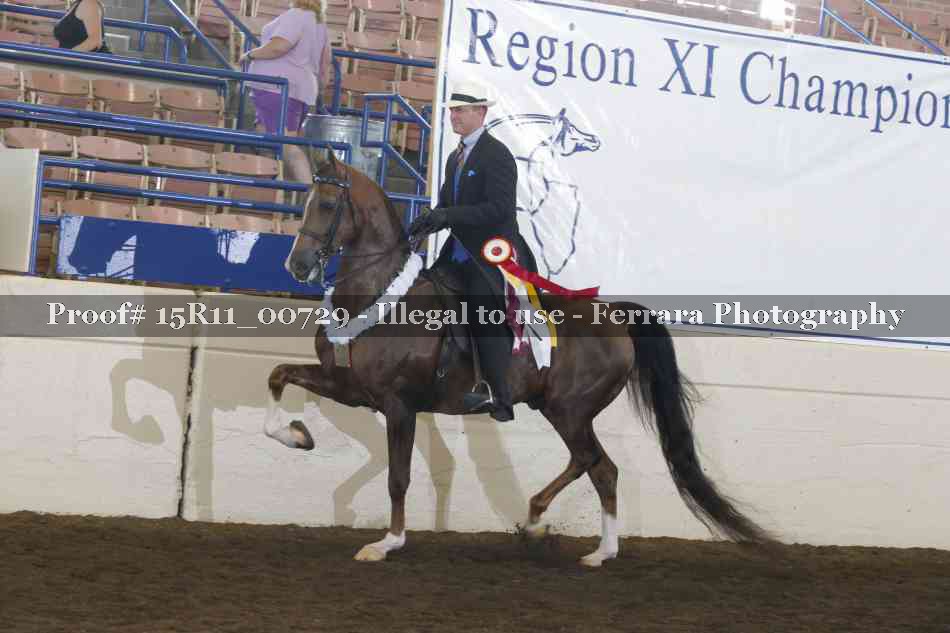 Proof Number 15R11_00729