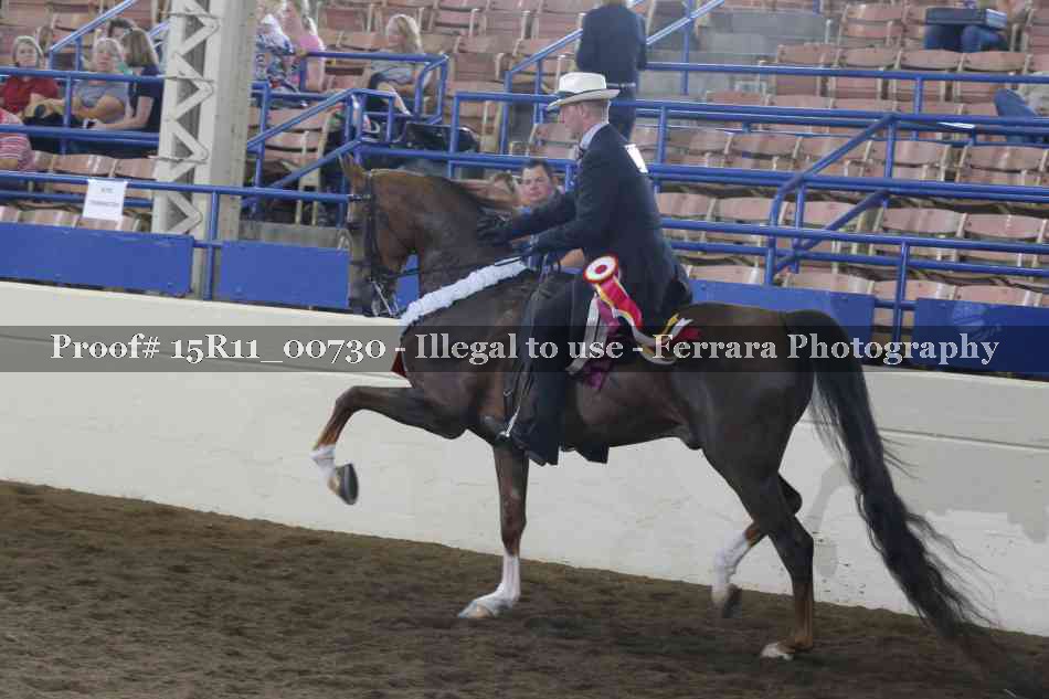 Proof Number 15R11_00730