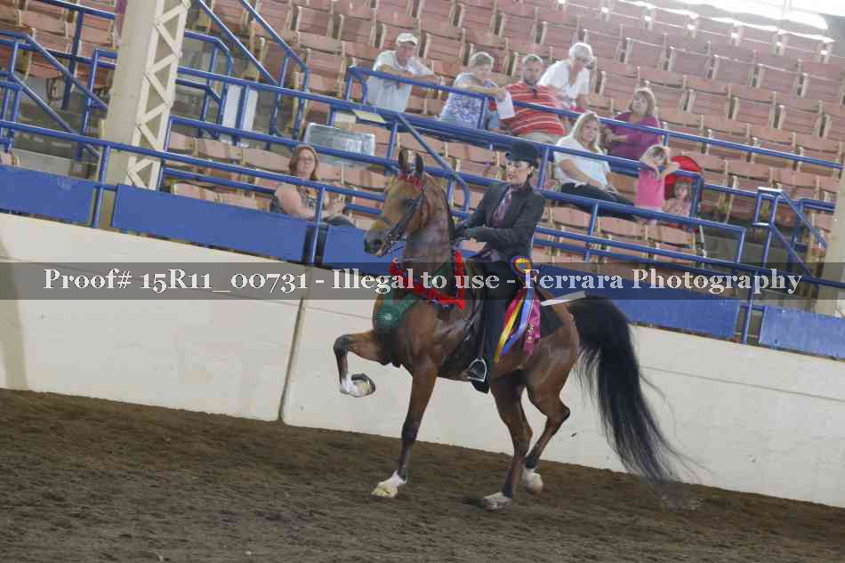 Proof Number 15R11_00731