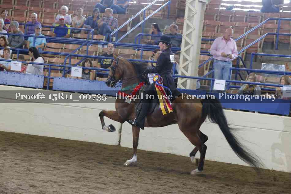 Proof Number 15R11_00735