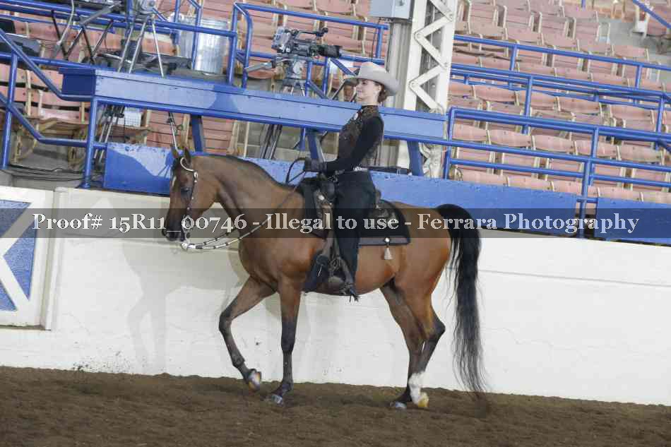 Proof Number 15R11_00746
