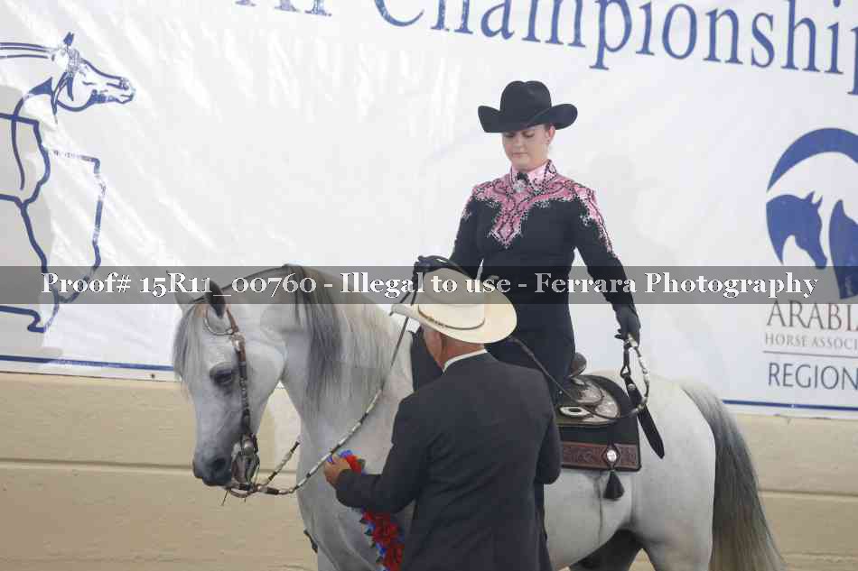 Proof Number 15R11_00760