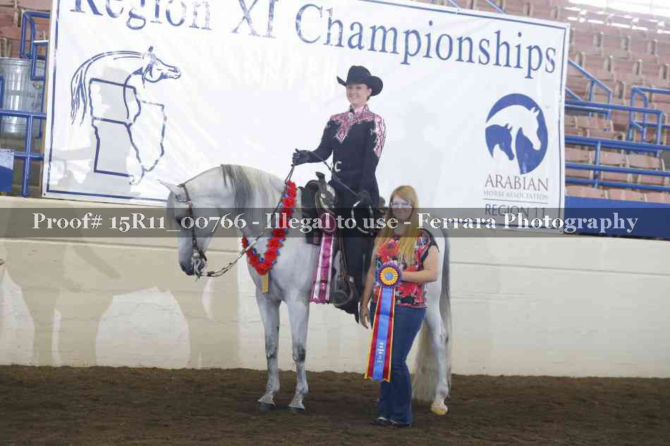 Proof Number 15R11_00766