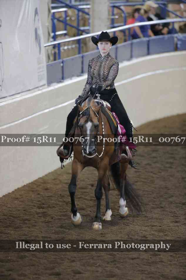 Proof Number 15R11_00767