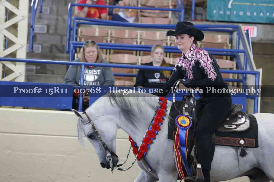 Proof Number 15R11_00768