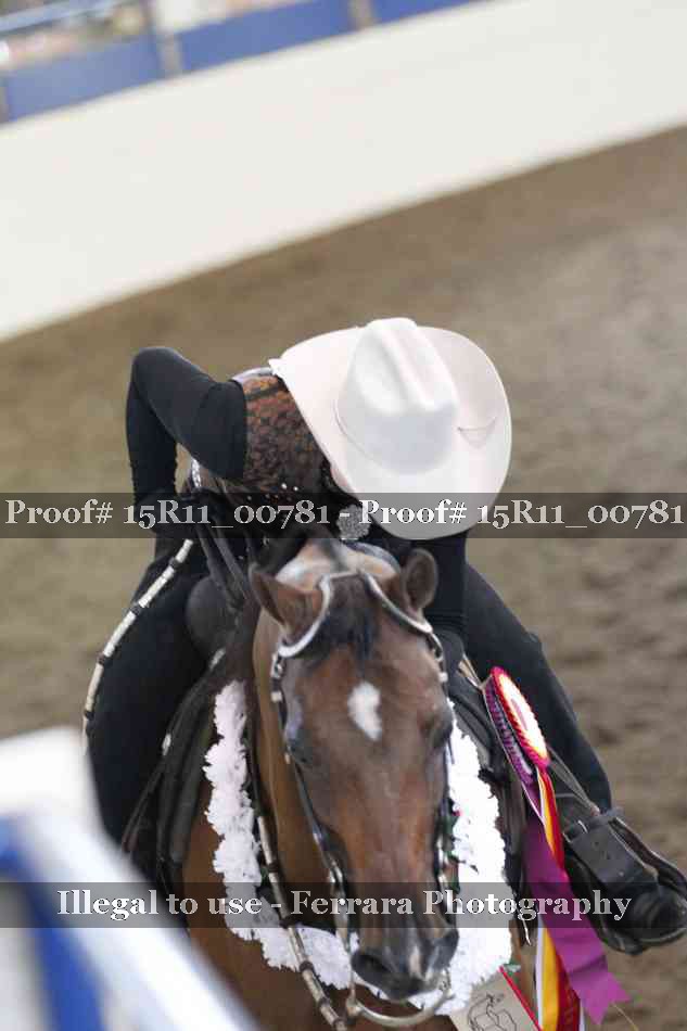 Proof Number 15R11_00781