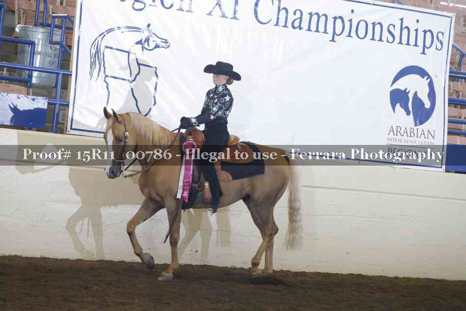 Proof Number 15R11_00786