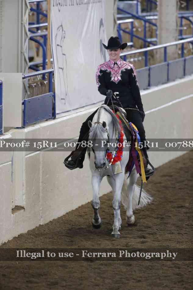 Proof Number 15R11_00788