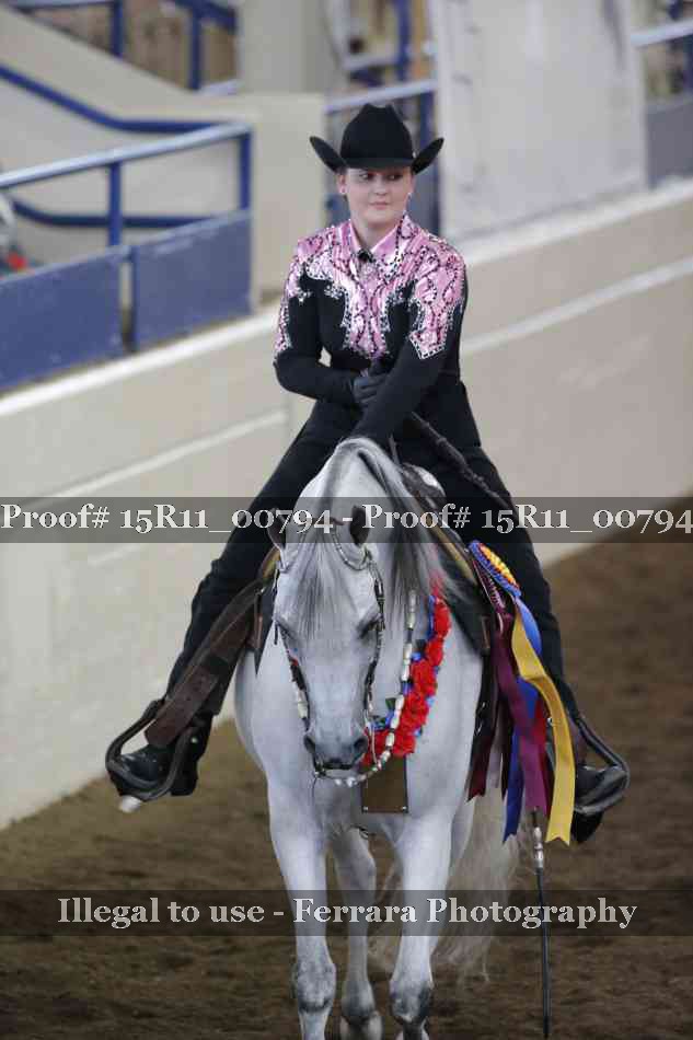 Proof Number 15R11_00794