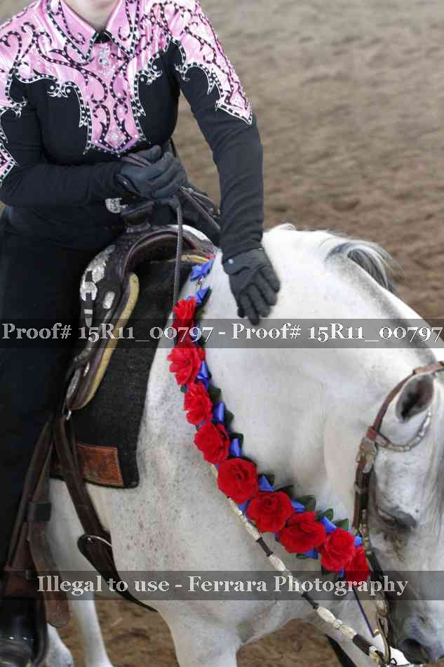 Proof Number 15R11_00797