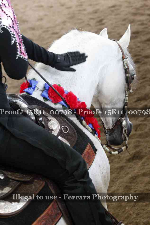 Proof Number 15R11_00798